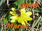 marec 2019